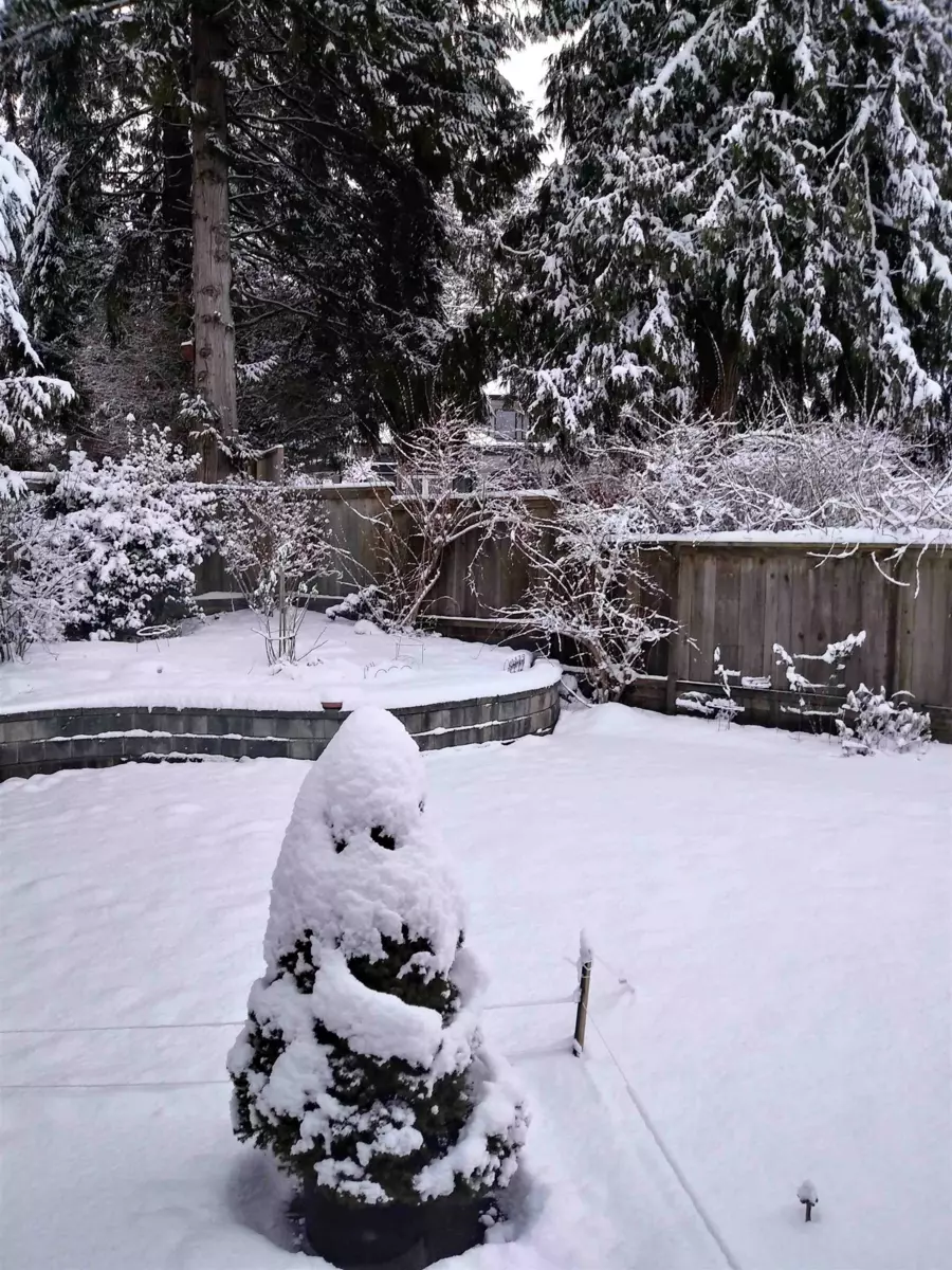 Loft / Bonus Room Photo of 3474 Greentree Lane, North Vancouver, BC