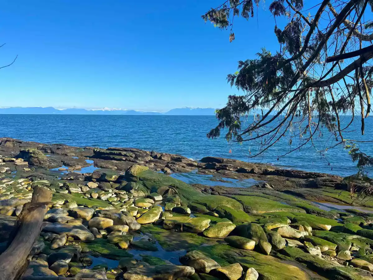 Family Room Photo of Lot 2 Bodega Beach Drive, Galiano Island, BC