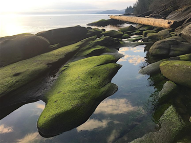 Aerial View of Lot 2 Bodega Beach Drive, Galiano Island, BC