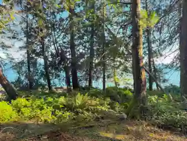 Walk-In Closet Photo of Lot 2 Bodega Beach Drive, Galiano Island, BC