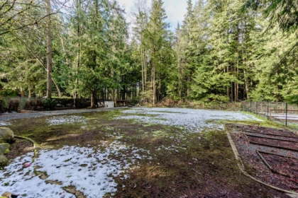 Aerial View of 11277 Graham Street, Maple Ridge, BC