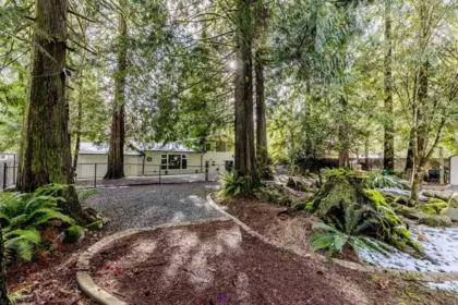 Outdoor Kitchen Photo of 11277 Graham Street, Maple Ridge, BC