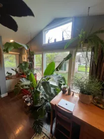 Basement Recreation Room Photo of 51733 Yale Road, Rosedale, BC