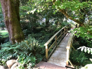 Front Yard Photo of 4163 Cedar Drive, Coquitlam, BC