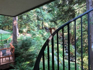 Hot Tub / Spa Photo of 4163 Cedar Drive, Coquitlam, BC