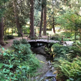 Outdoor Patio Photo of 4163 Cedar Drive, Coquitlam, BC