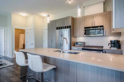 409 22327 River Road, Maple Ridge, BC, Maple Ridge — Apartment/Condo for sale