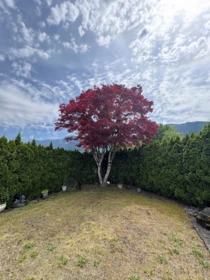 58 1436 Frost Road, Cultus Lake, BC, Cultus Lake — Land for sale