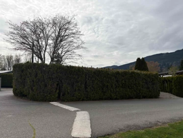 Pantry Photo of 58 1436 Frost Road, Cultus Lake, BC