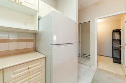 Basement Recreation Room Photo of 101 1591 Booth Avenue, Coquitlam, BC