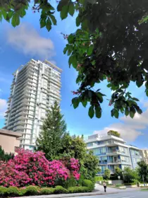 Swimming Pool Photo of 2306 555 Sydney Avenue, Coquitlam, BC