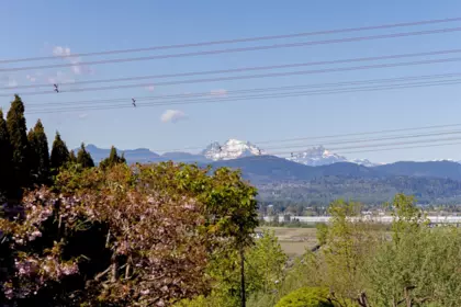 Primary Bedroom Photo of 1 34332 Maclure Road, Abbotsford, BC