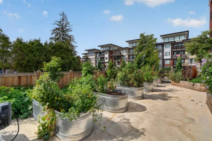 Street View Photo of 503 22575 Brown Avenue, Maple Ridge, BC