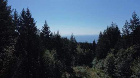Lot 1 Firburn Road, Roberts Creek, BC, Roberts creek — Land for sale