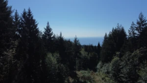 Lot 1 Firburn Road, Roberts Creek, BC