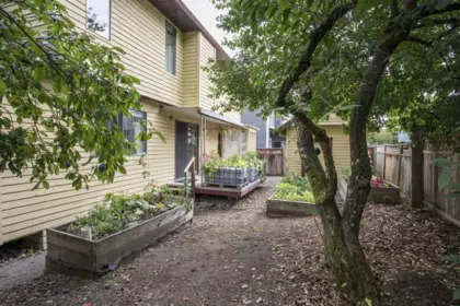 Backyard Photo of 8108 118a Street, Delta, BC