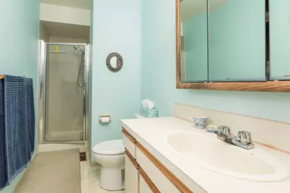 Loft / Bonus Room Photo of 8108 118a Street, Delta, BC