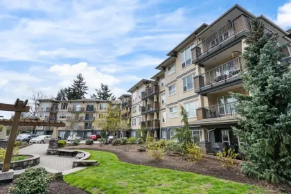 303 2565 Campbell Avenue, Abbotsford, BC, Abbotsford — Apartment/Condo for sale