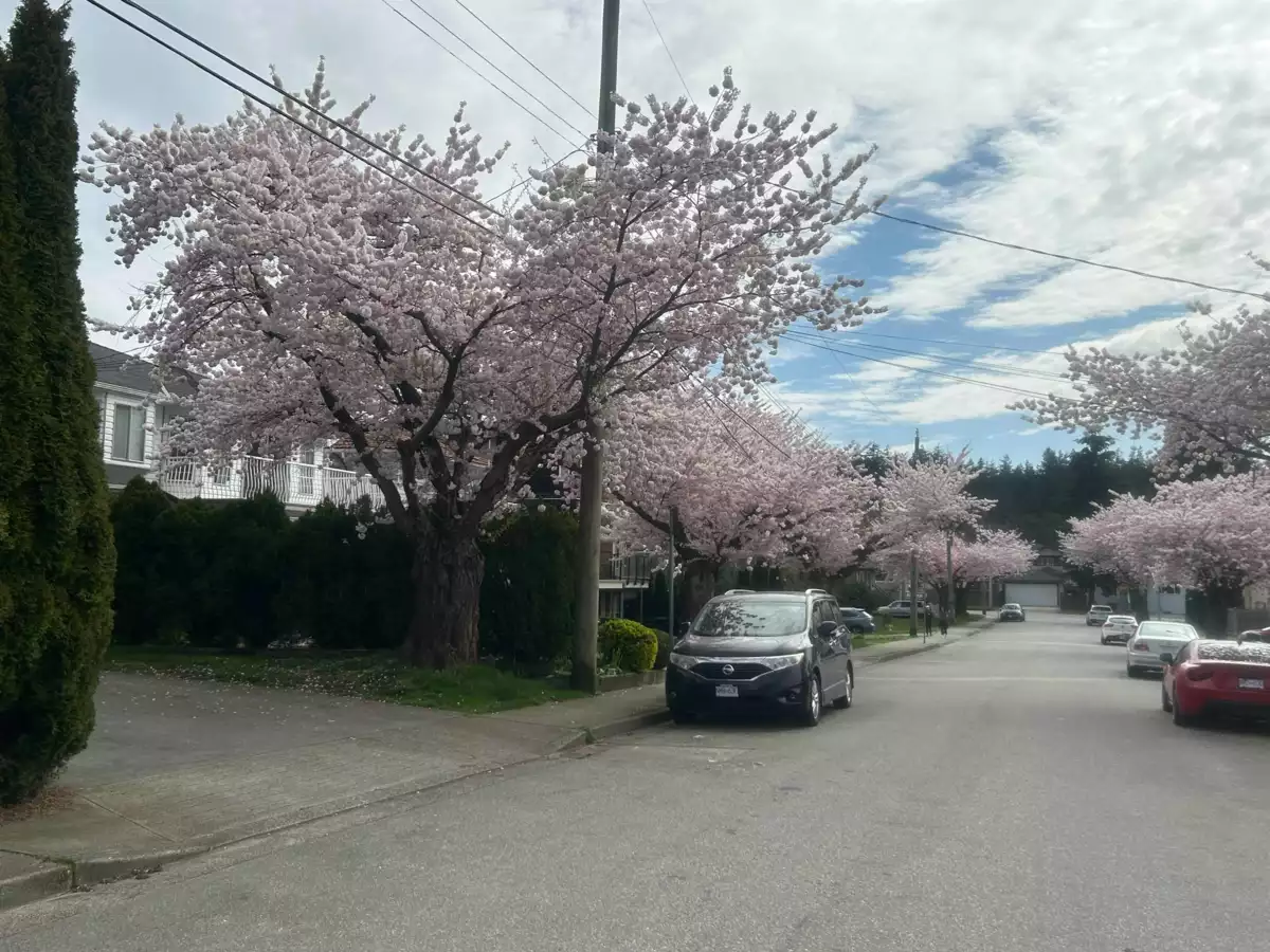 Dining Area Photo of 5249 Chesham Avenue, Burnaby, BC