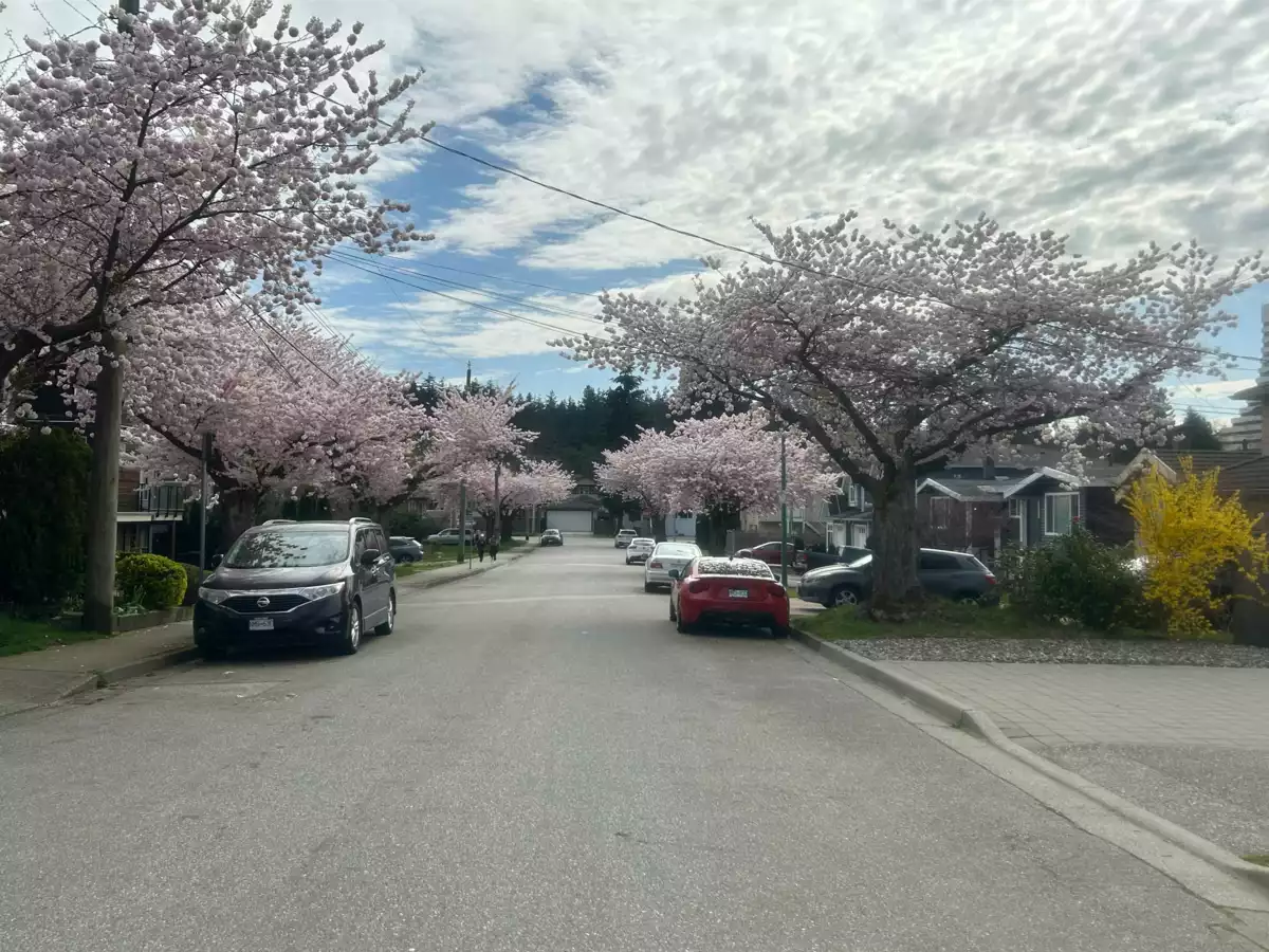 Family Room Photo of 5249 Chesham Avenue, Burnaby, BC