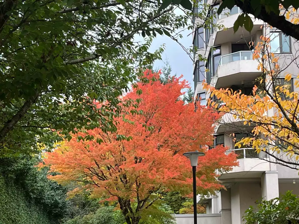 Exterior Front Photo of 503 7321 Halifax Street, Burnaby, BC