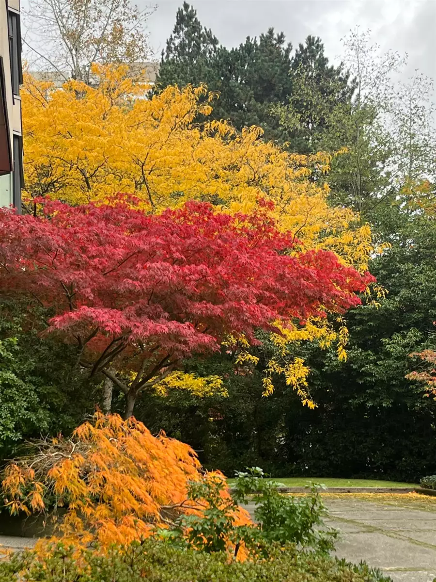 Mudroom Photo of 503 7321 Halifax Street, Burnaby, BC