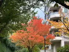 503 7321 Halifax Street, Burnaby, BC