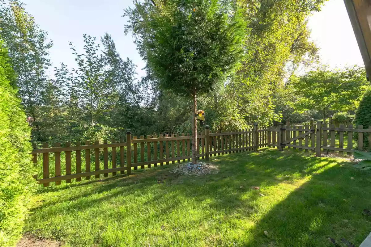 Garage Interior Photo of 48 11252 Cottonwood Drive, Maple Ridge, BC