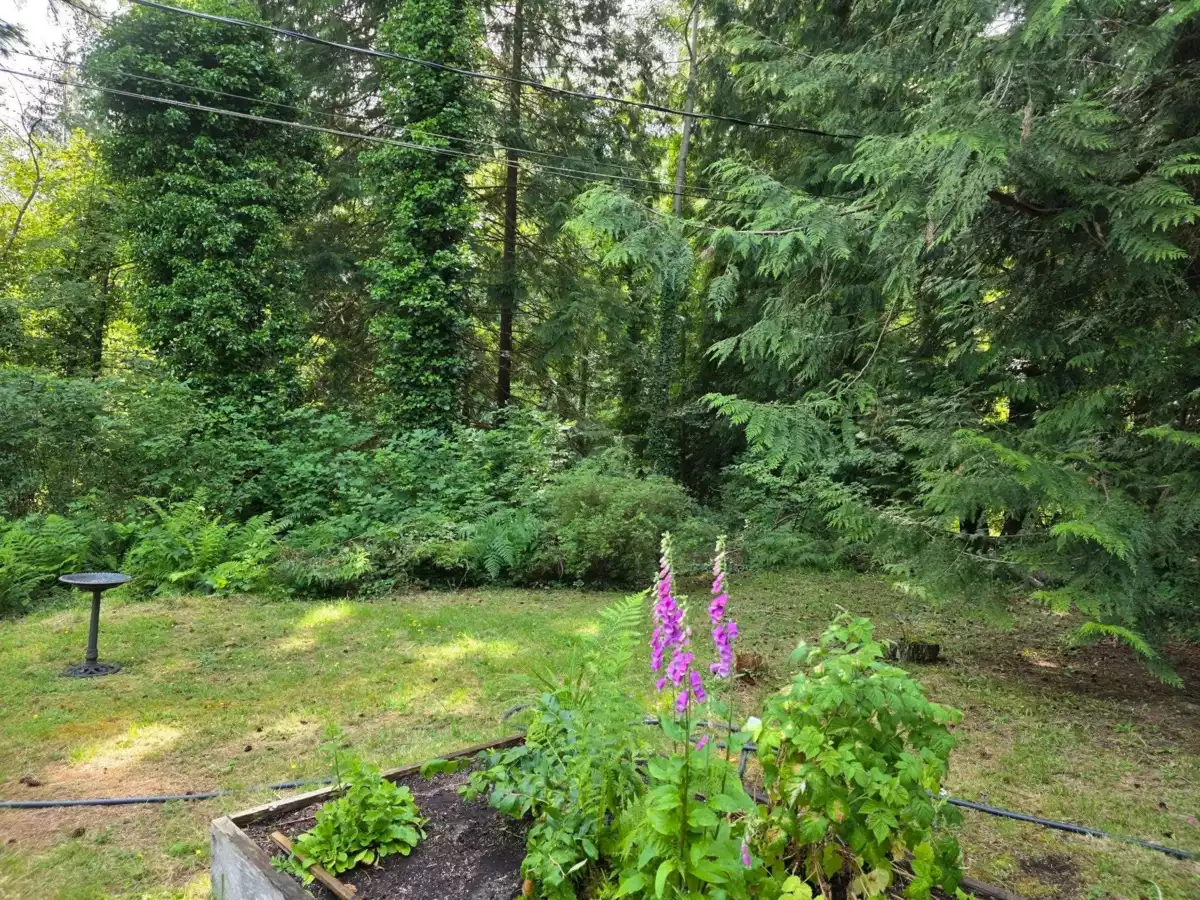 Backyard Photo of 980 Woodley Road, Roberts Creek, BC