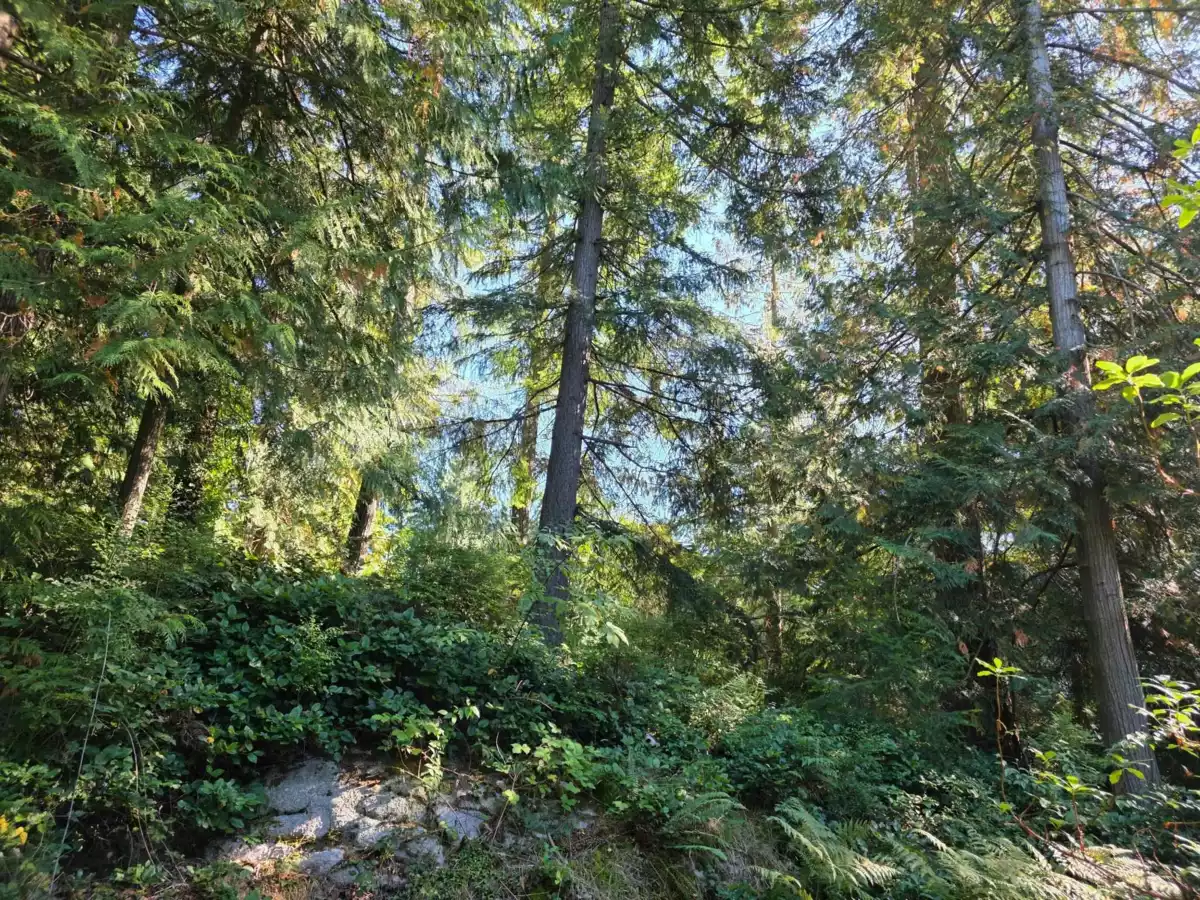 Entry Foyer Photo of 980 Woodley Road, Roberts Creek, BC