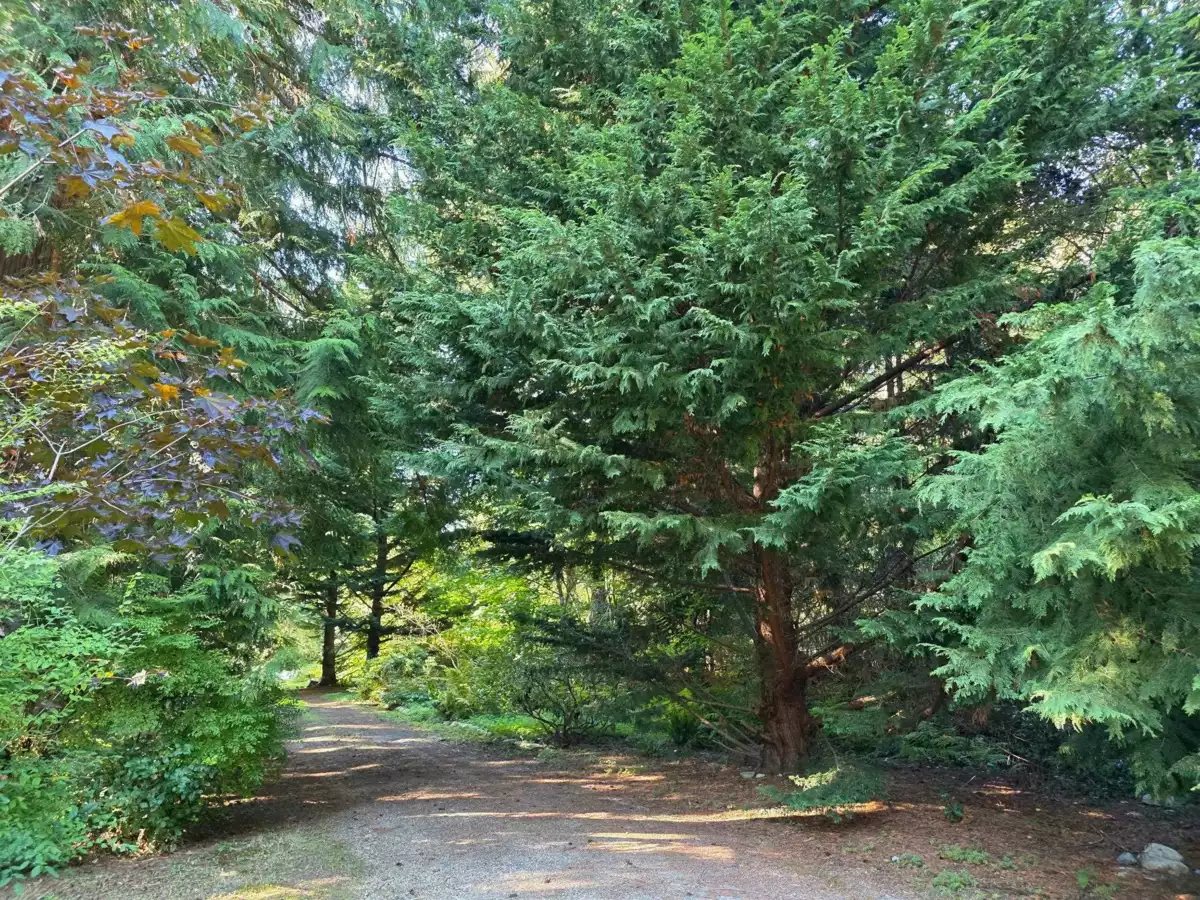 Garage Interior Photo of 980 Woodley Road, Roberts Creek, BC