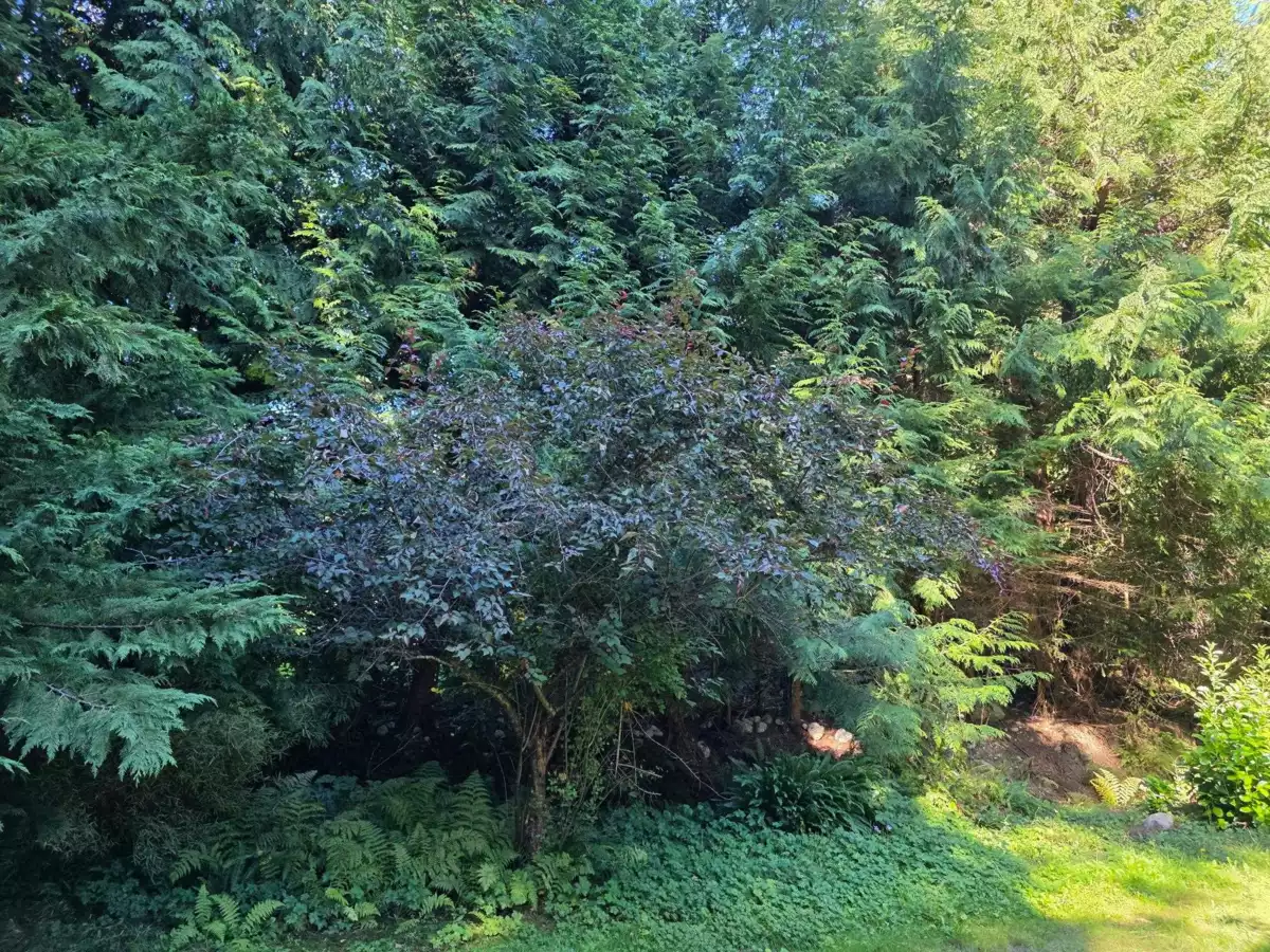 Hallway Photo of 980 Woodley Road, Roberts Creek, BC