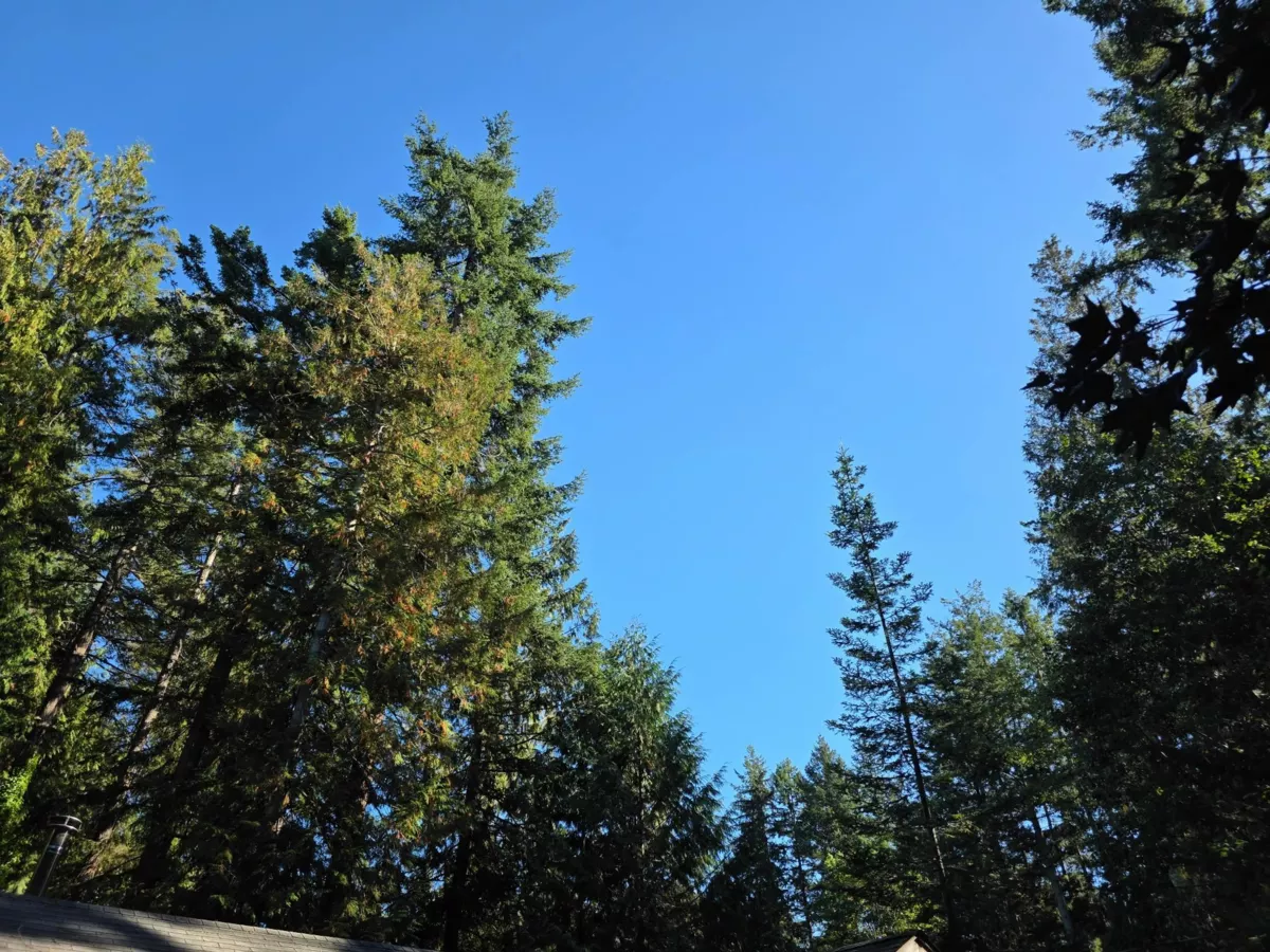 Mudroom Photo of 980 Woodley Road, Roberts Creek, BC