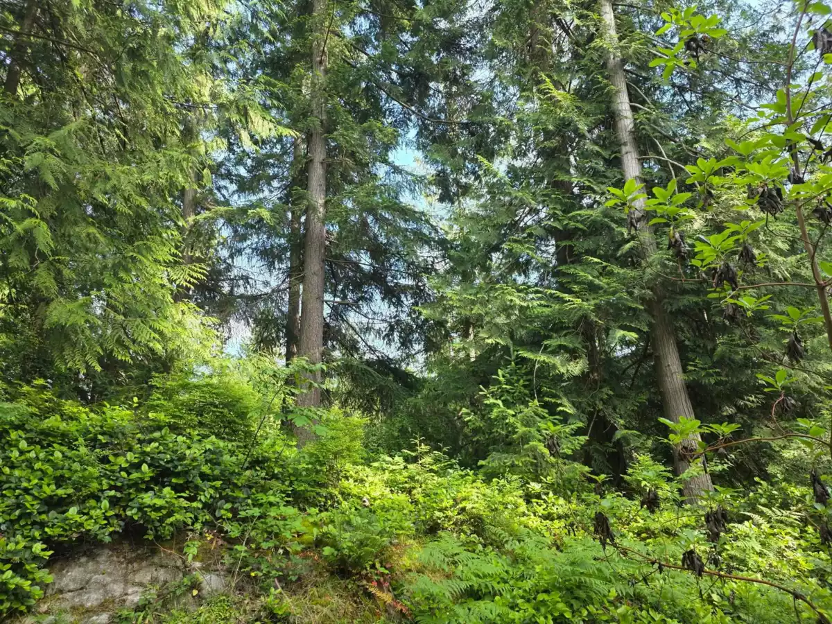 Outdoor Deck Photo of 980 Woodley Road, Roberts Creek, BC