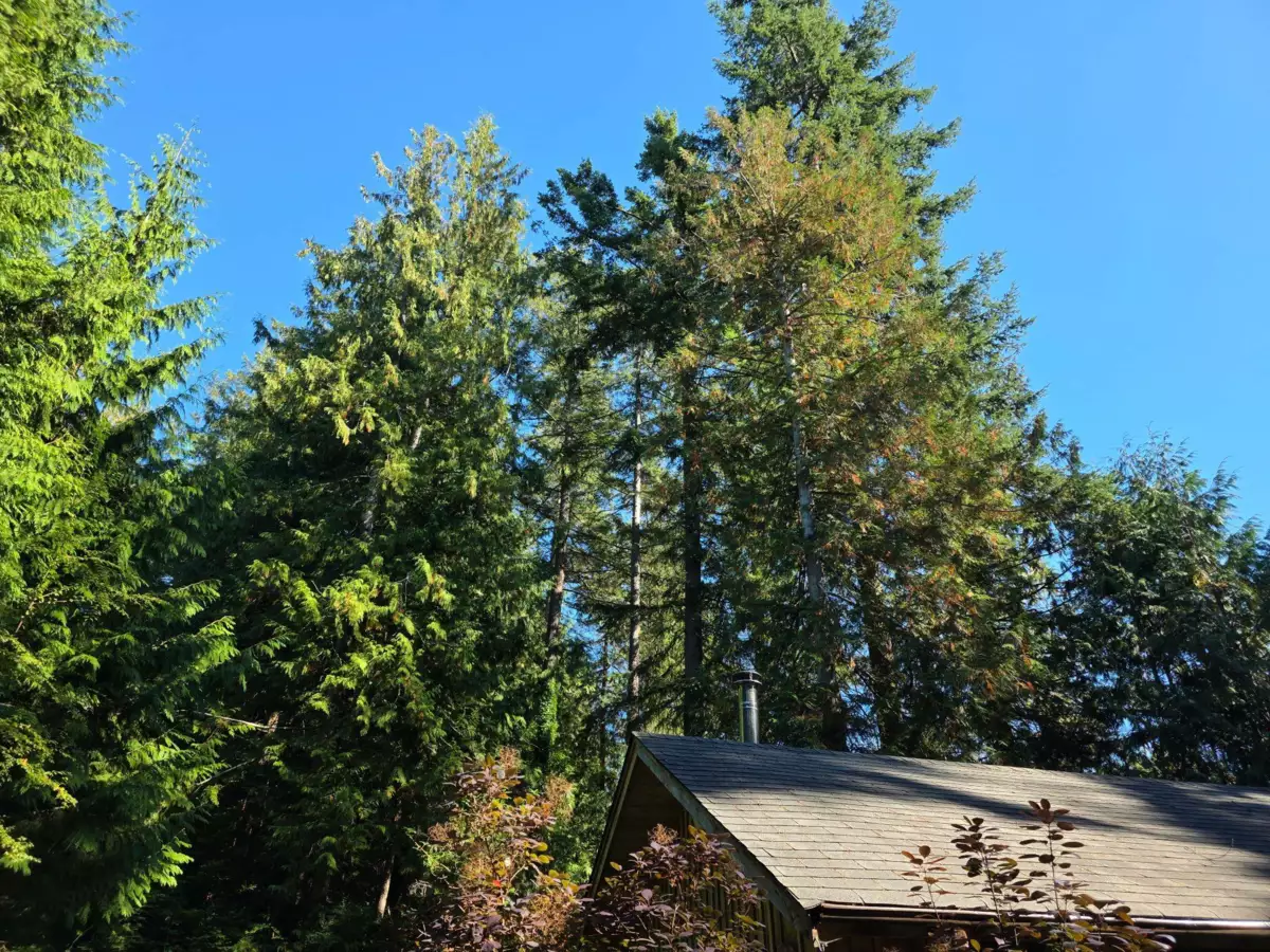 Staircase Photo of 980 Woodley Road, Roberts Creek, BC