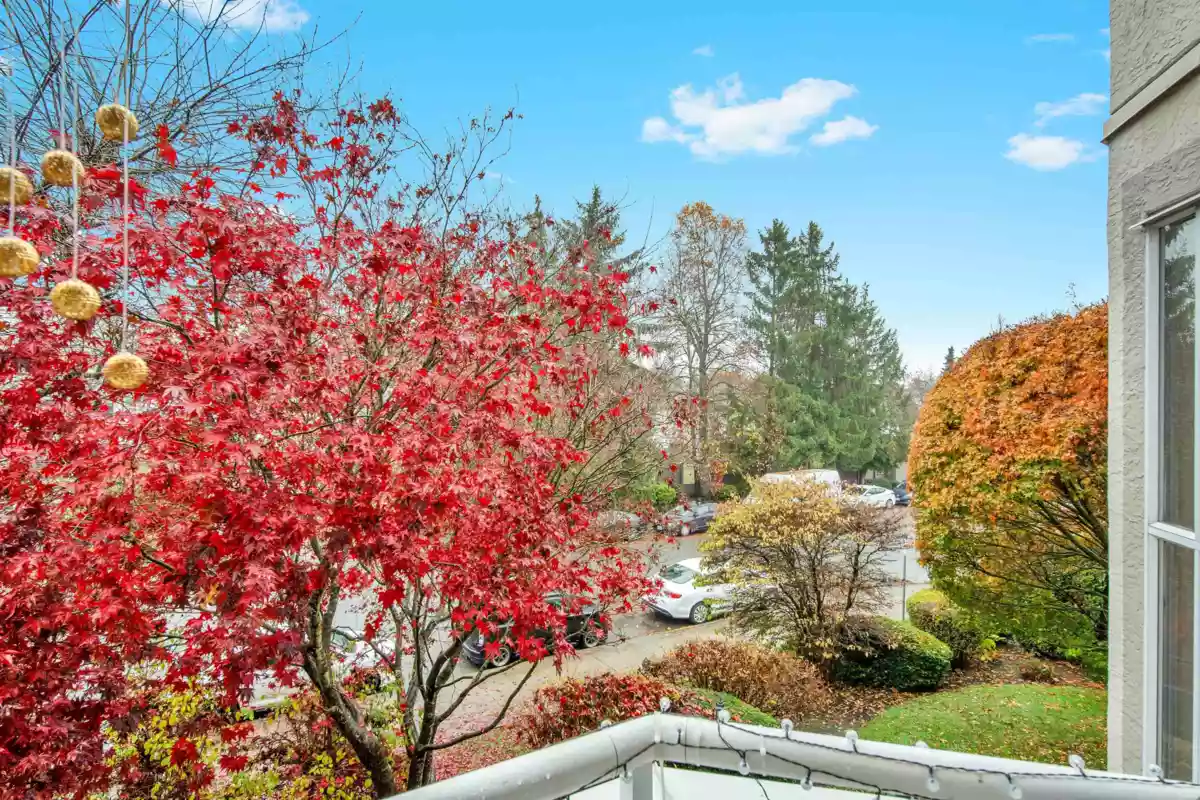 Backyard Photo of 216 7171 121 Street, Surrey, BC