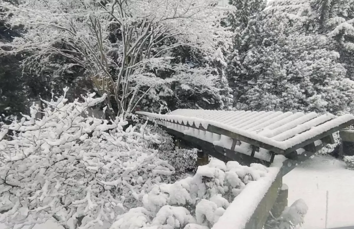 Office / Den Photo of 206 4505 Hazel Street, Burnaby, BC