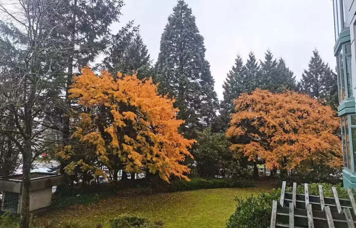 Powder Room Photo of 206 4505 Hazel Street, Burnaby, BC