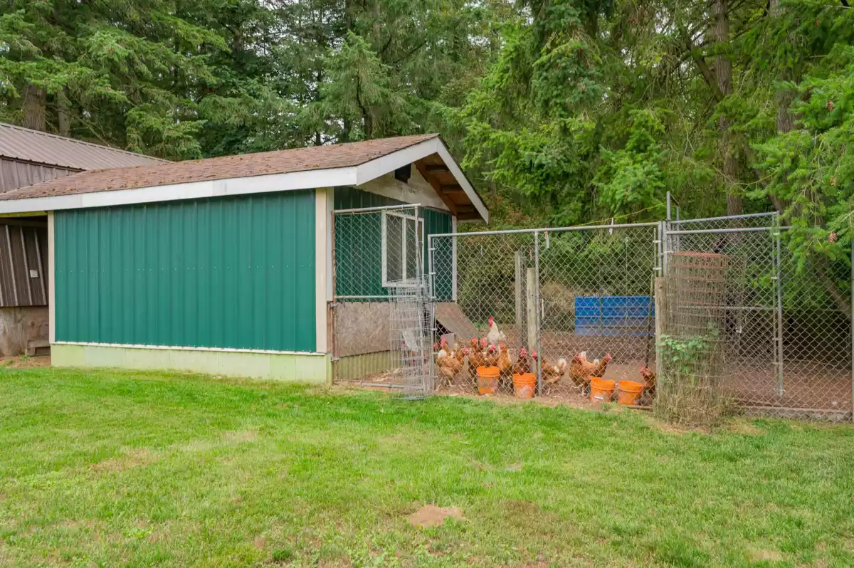 Swimming Pool Photo of 2572 204 Street, Langley, BC