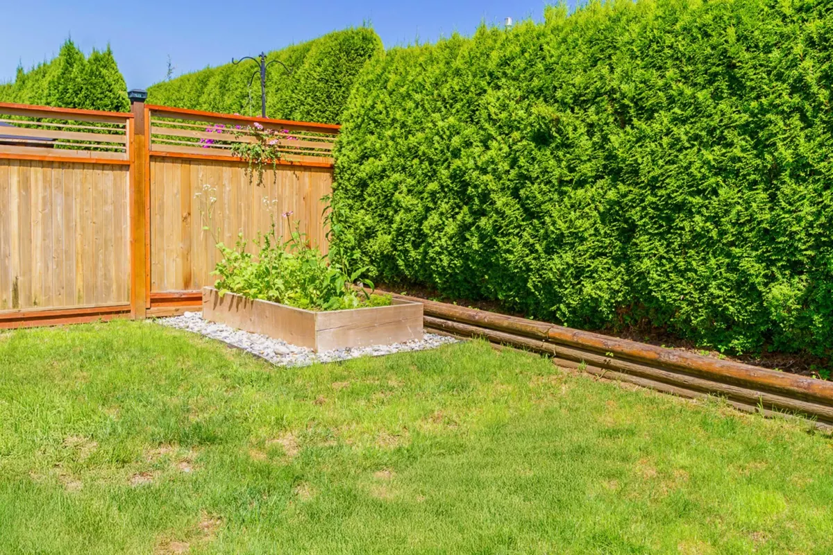 Staircase Photo of 11804 191a Street, Pitt Meadows, BC