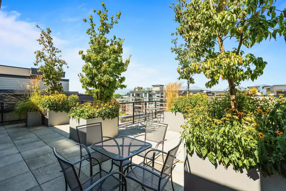 Outdoor Patio Photo of 406 11865 227 Street, Maple Ridge, BC