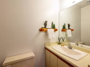 Powder Room Photo of 2315 Cheakamus Way, Whistler, BC