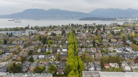 Garden / Landscaping Photo of 2421 Trafalgar Street, Vancouver, BC
