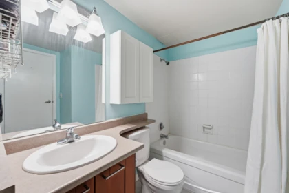 Laundry Room Photo of 106 423 Agnes Street, New Westminster, BC