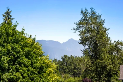 20619 123 Avenue, Maple Ridge, BC, Maple Ridge — Single Family Residence for sale