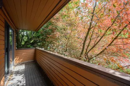 Backyard Photo of 3201 Lonsdale Avenue, North Vancouver, BC