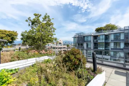 Garden / Landscaping Photo of 661 2080 W Broadway, Vancouver, BC