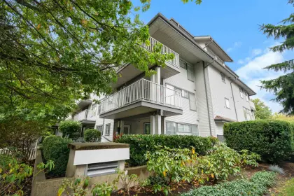 101 20561 113 Avenue, Maple Ridge, BC, Maple ridge — Apartment/Condo for sale