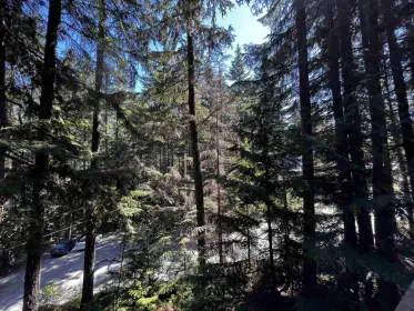14952 Parkwood Street, Sunshine Valley, BC, Sunshine valley — Single Family Residence for sale