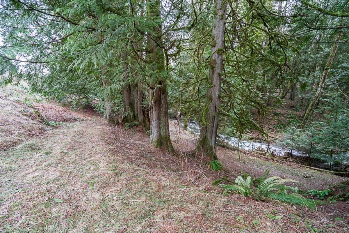 Swimming Pool Photo of 3870 216 Street, Langley, BC